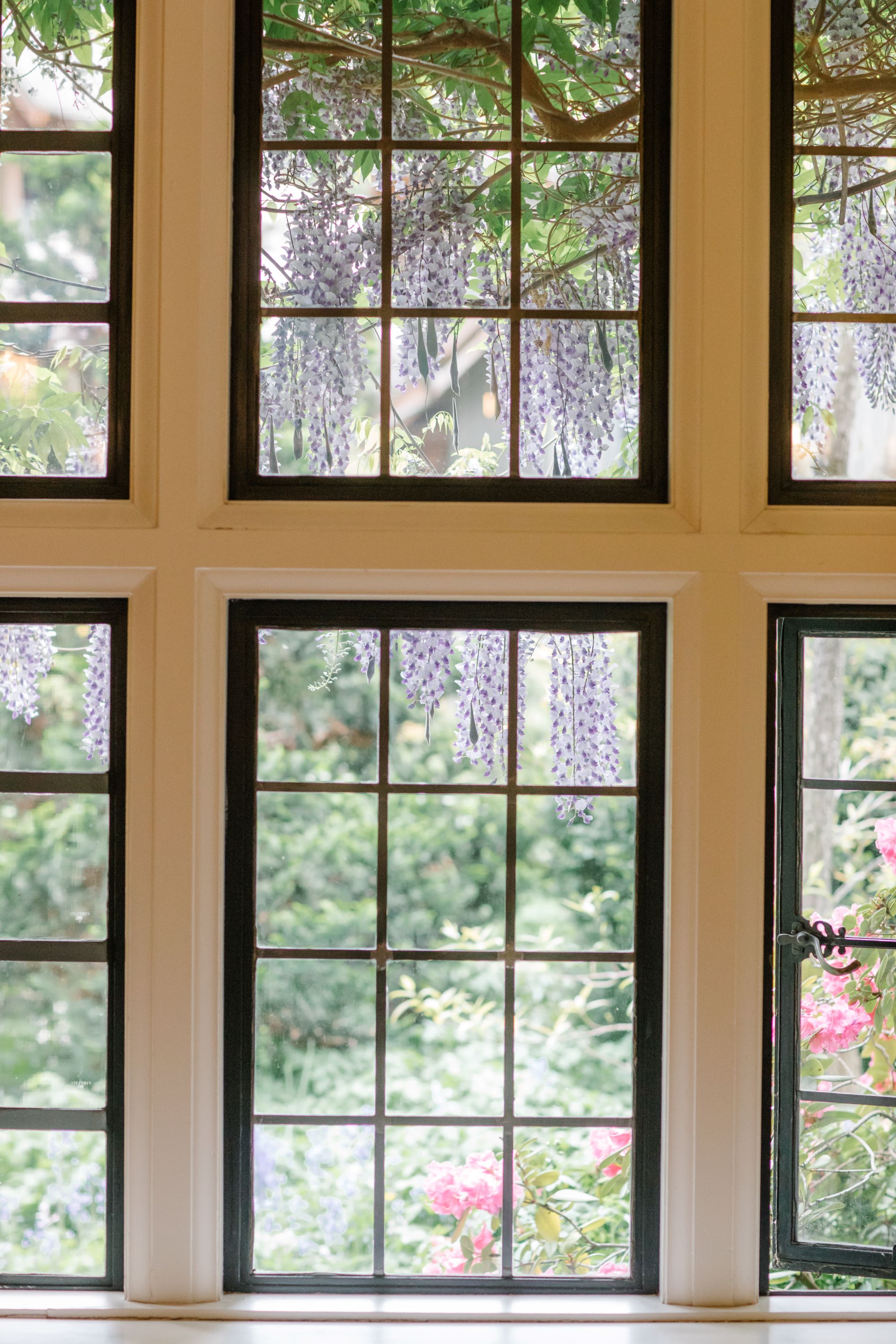 window view - spring flowers