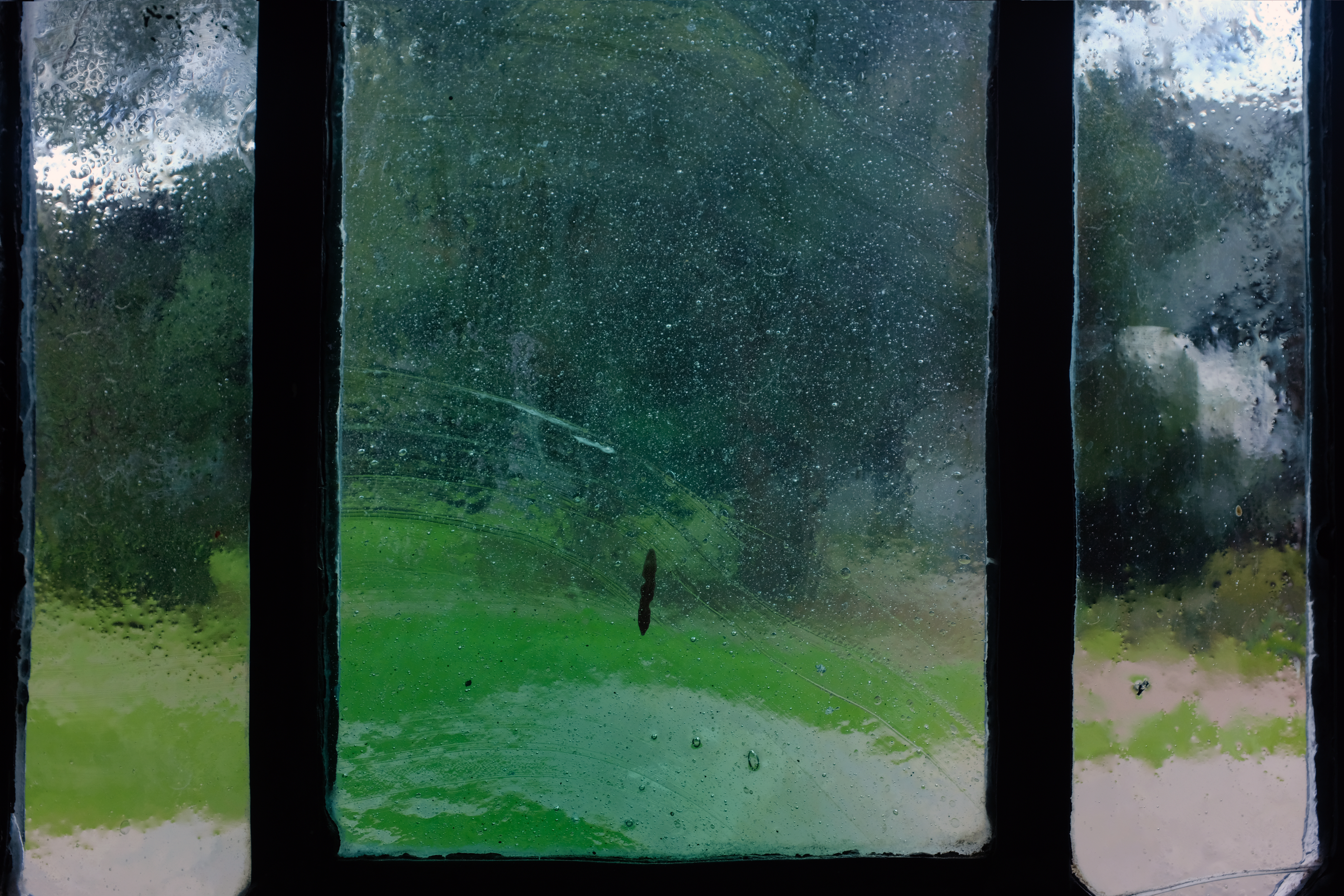 View from window
