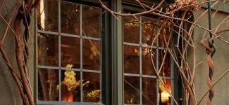 Windows - fall view