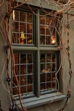Windows - fall view