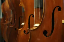 Violins