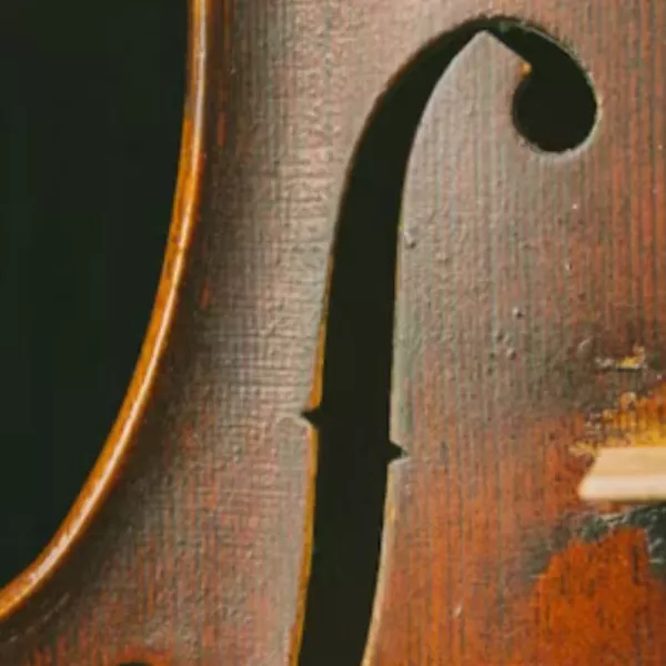 Violin