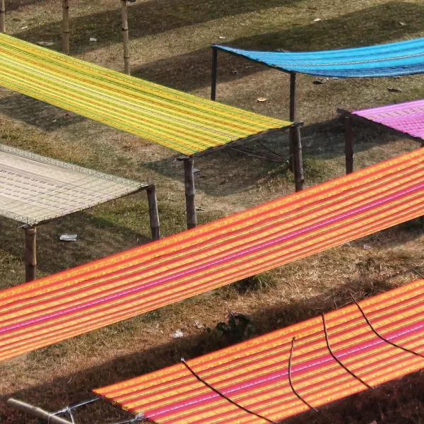 The Whole Cloth image