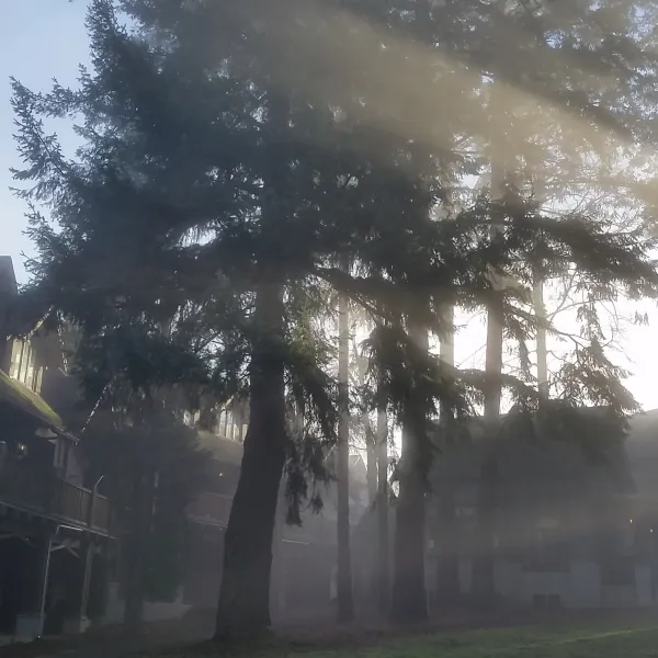Grounds of Green College