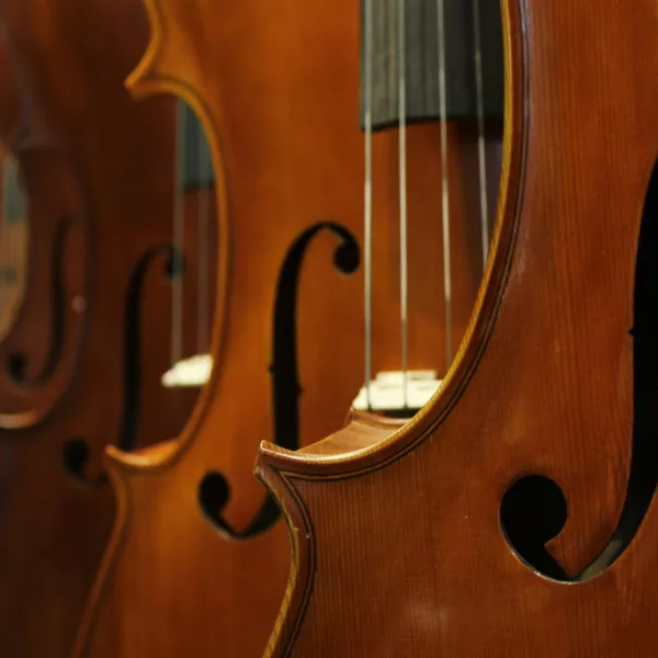 Violins